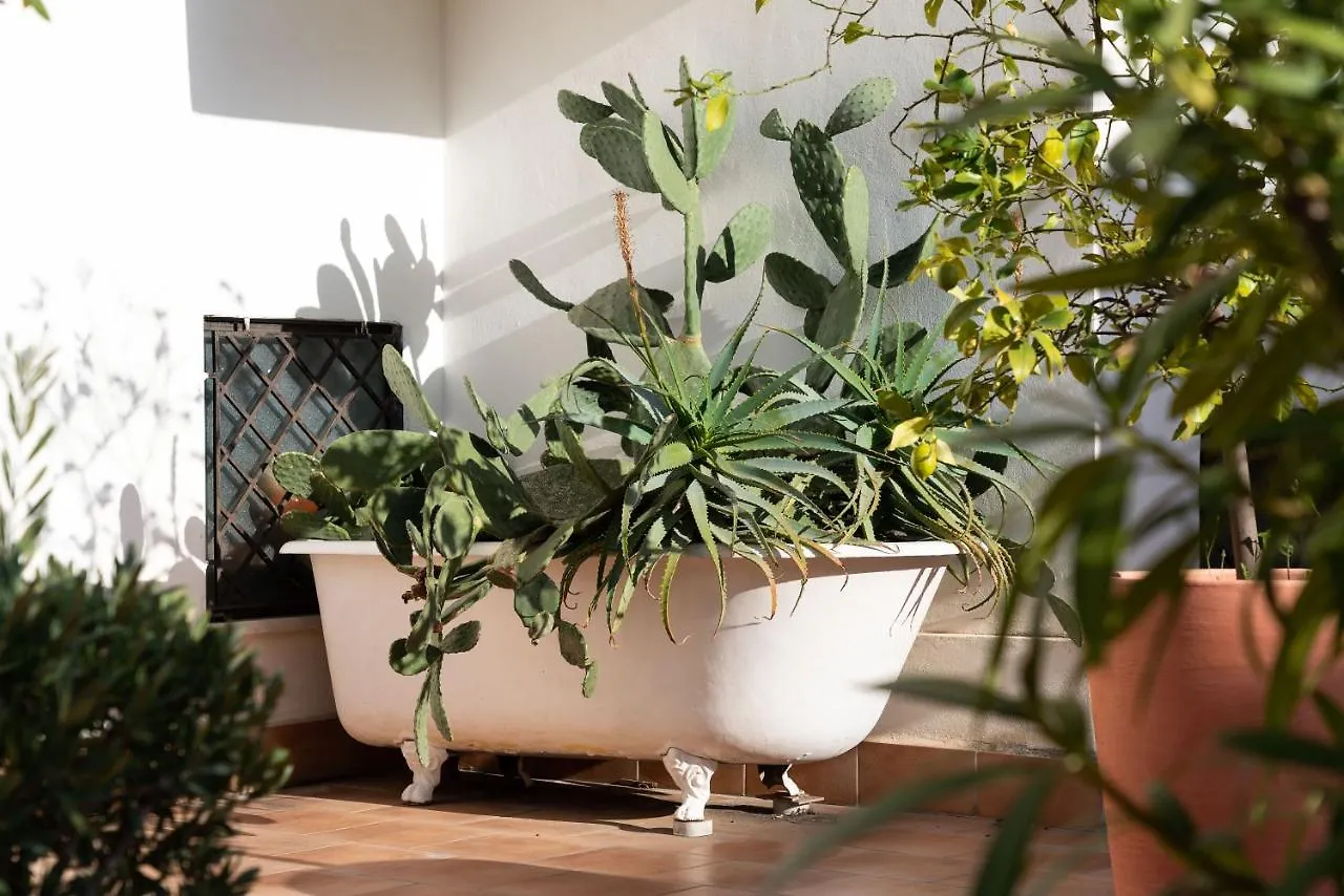 Il Giardino Di Ballaro Boutique B&B Palermo
